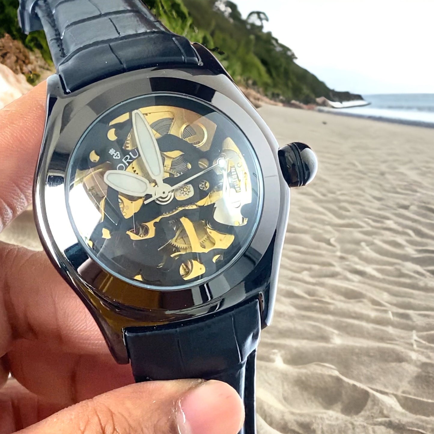 Platonic Fully Automatic Rare Bubble lens Men's watch